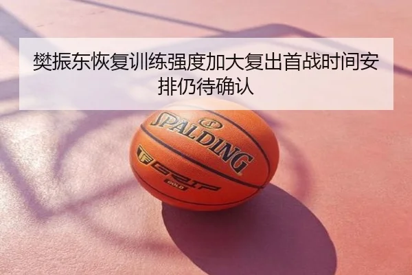 樊振东恢复训练强度加大复出首战时间安排仍待确认