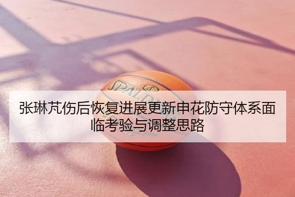 张琳芃伤后恢复进展更新申花防守体系面临考验与调整思路